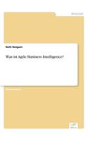 Was ist Agile Business Intelligence?
