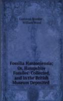 Fossilia Hantoniensia; Or, Hampshire Fossiles: Collected, and in the British Museum Deposited .