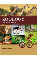 Zoology At A Glance