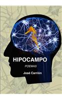 Hipocampo