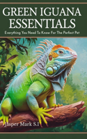 Green Iguana Essentials
