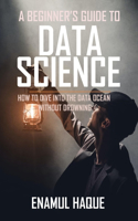Beginners Guide To DATA SCIENCE: How to dive into the data ocean without drowning [TAKE THE FIRST STEP TO BECOME A DATA SCIENTIST]