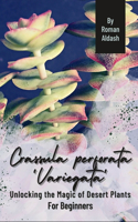 Crassula perforata 'Variegata': Unlocking the Magic of Desert Plants, For Beginners