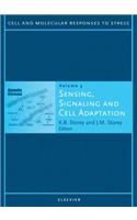 Sensing, Signaling and Cell Adaptation