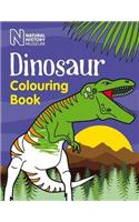 Dinosaur Colouring Book