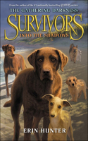 Into the Shadows: (3 Survivors: The Gathering Darkness)