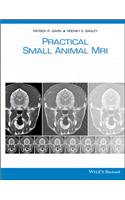 Practical Small Animal MRI