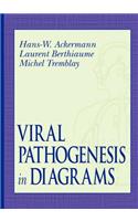 Viral Pathogenesis in Diagrams
