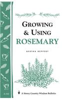 Growing & Using Rosemary