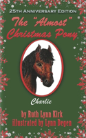 Almost Christmas Pony