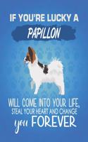 If You're Lucky A Papillon Will Come Into Your Life, Steal Your Heart And Change You Forever