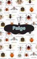 Paige: Bug Insect Comic Book Notebook Journal Book 120 Pages 6x9