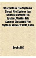 Shared Disk File Systems: Global File System, IBM General Parallel File System, Veritas File System, Clustered File System, Vmware Vmfs, Xsan(English)