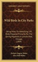 Wild Birds In City Parks