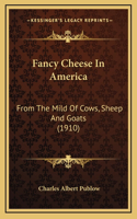 Fancy Cheese In America