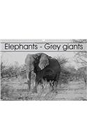Elephants - Grey Giants 2017