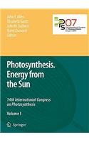 Photosynthesis. Energy from the Sun