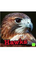 Hawks