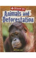 Animals and Deforestation