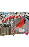 Cardinals