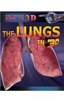 The Lungs in 3D