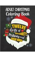 Adult Christmas Coloring Book: Twelve Days of Vulgarity, Profanity and Swear Words: Swear Word Coloring Book(Christmas Coloring for Adults)