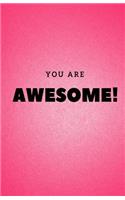 You Are Awesome Journal: Lined Journal, Diary or Notebook - Pink(Elite Journal)