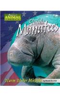 Florida Manatees