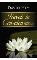 Travels in Consciousness
