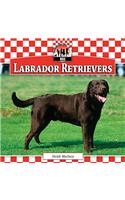 Labrador Retrievers