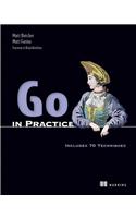 Go in Practice