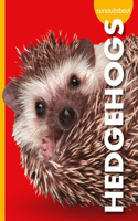Curious about Hedgehogs: (Curious about Pets)