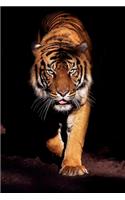 Tiger Lovers Gift For Girls, Boys, Women & Men