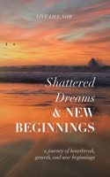 Shattered Dreams, New Beginnings