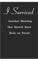 I Survived Another Meeting that Should Have Been an Email Lined Notebook Journal