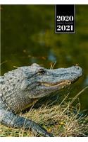 Crocodile Alligator Gharial Caiman Reptile Week Planner Weekly Organizer Calendar 2020 / 2021 - On the Shore