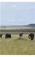 Savannah Notebook