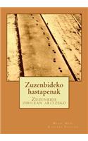 Zuzenbideko hastapenak