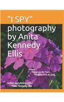 I Spy Photography by Anita Kennedy Ellis: Volume I, Flowers in the Yard...Wildflowers in the Field...