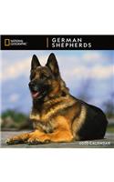 Cal 2020-National Geographic German Shepherds Wall
