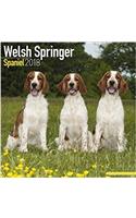 Welsh Springer Spaniel Calendar 2018
