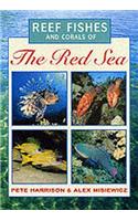 Reef Fishes and Corals of the Red Sea