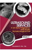 Ultrasound Services in An Early Pregnancy and Acute Gynaecological Unit