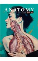 Anatomy Rocks: 30 Deluxe Postcards
