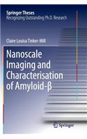 Nanoscale Imaging and Characterisation of Amyloid-β