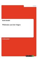 Wikileaks und die Folgen: (German)