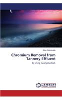 Chromium Removal from Tannery Effluent