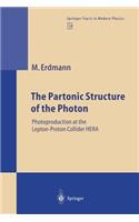 Partonic Structure of the Photon