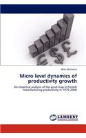 Micro Level Dynamics of Productivity Growth