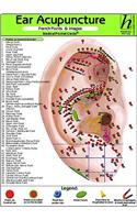Ear Acupuncture